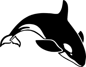 Killer whale PNG-71251